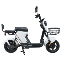 Велосипед з електромотором SPARK ADVENT 14" 48V/500W/20Ah Білий
