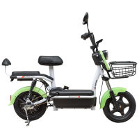 Велосипед з електромотором SPARK CITY 14" 48V/500W/20Ah Зелений