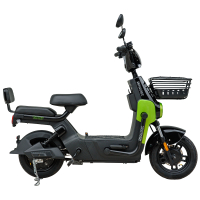 Велосипед с электромотором SPARK TOUR 14" 60V/500W/20Ah Зеленый