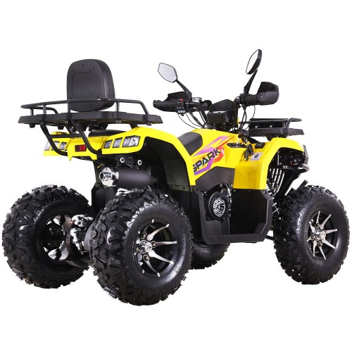 Квадроцикл SP200-10Е