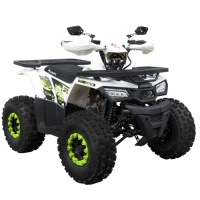 Квадроцикл SP125-7