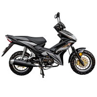 Мотоцикл SPARK SP125C-4WQ