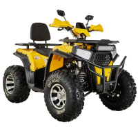 Квадроцикл SP200-3