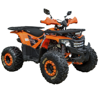 Квадроцикл SP125-8