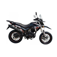 Мотоцикл VP-V250L Dragon/ZS 250GY-8/SPARK SP250D-7
