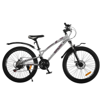 Велосипед SPARK SURF (колеса - 24", стальная рама - 11") серый