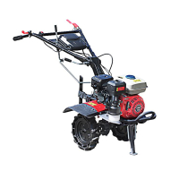 Мотоблок бензиновий TT-ZX100 (редуктор), колесо 3,5 * 6, двигун 170F (7 к.с.)