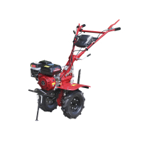Мотоблок бензиновий TT-ZX100-1 (редуктор) (колеса 4.00*8) двигун 170F (7 л.с.)